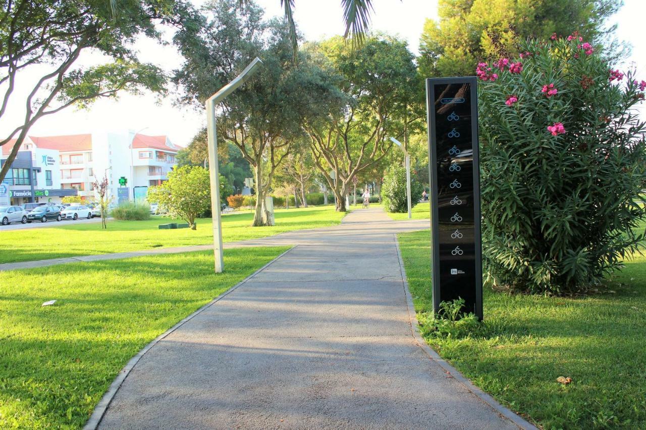 Vilamoura Dolphin Studio מראה חיצוני תמונה